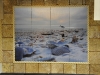 backsplash-birds-shells