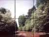lake-mural-6t