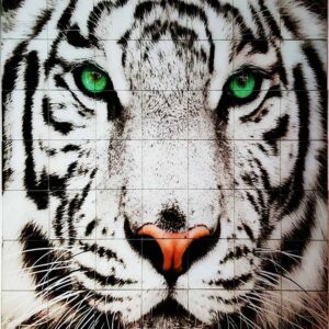 custom bathroom and shower wall tile mural