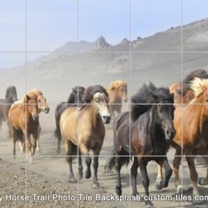 Dusty-Horse-Trail-Photo-Tile-Backsplash-30x24 by custom-tiles.com